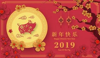 Nouvel an Chinois 2019 par l’école TAO