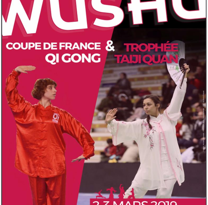 Coupe de France Qi Gong et Trophée Taiji Quan à Pessac