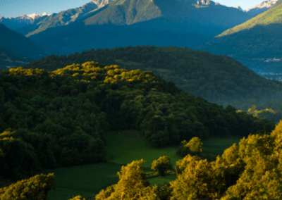Chalet du Montagnard