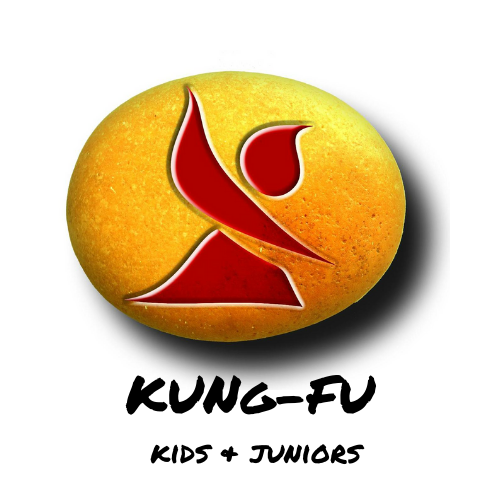 Cours de Kung-Fu Wushu et kung-fu kids et juniors dans les Pyrénées
