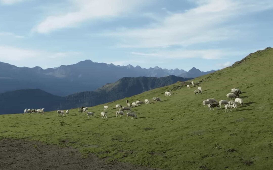 La Splendeur Naturelle du Massif du Pibeste-Aoulhet : Un Trésor de Biodiversité à Préserver